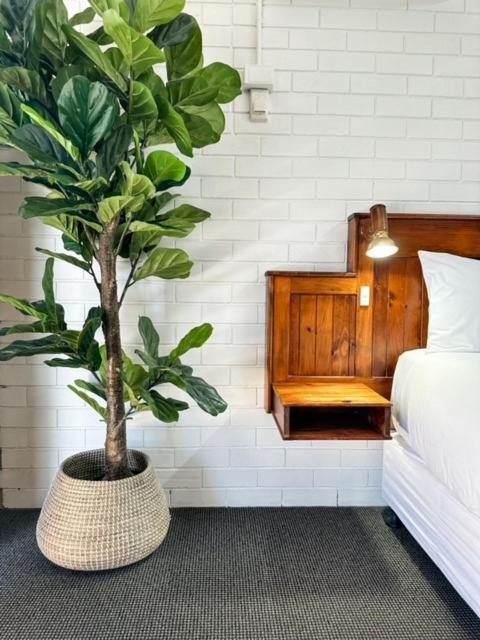 Pacific Sun Bargara汽车旅馆 外观 照片
